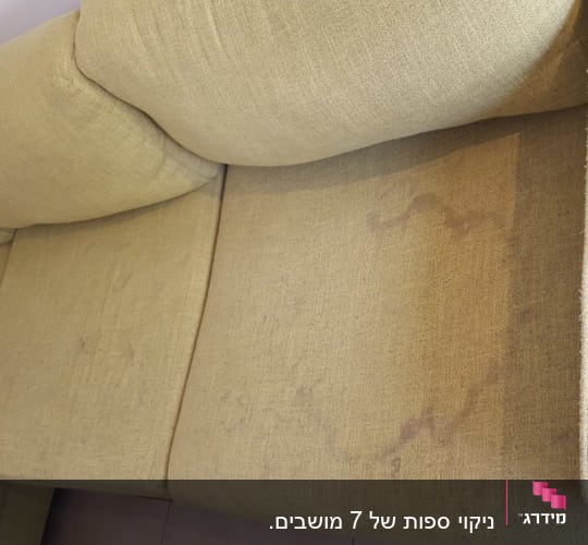 כתמים על ספה בצבע בז